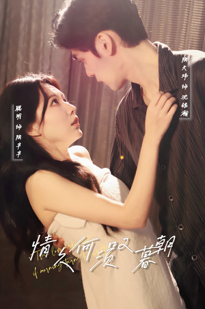 情久何须叹暮朝(61集) 情久何须叹暮朝(61集) 短剧解说全集