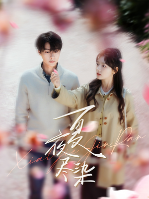 夏夜尽染（80集） 热门了短剧