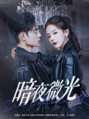 暗夜微光（86集）直接看到大结局