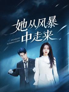 她从风暴中走来（60集）看过的人都说好