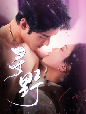 寻野（100集）爆款短剧追不停