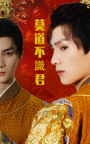 莫道不识君（63集）在线观看全集