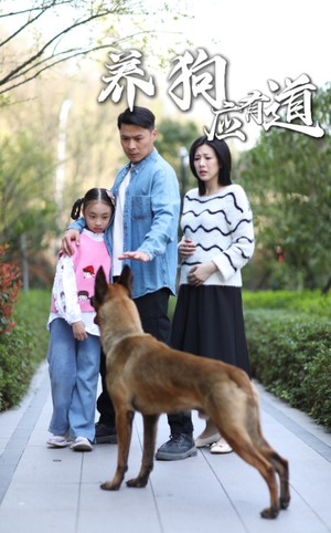 养狗应有道（60集）古代短剧推荐