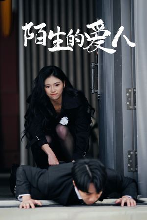 陌生的爱人(60集) 陌生的爱人(60集)在线看到大结局