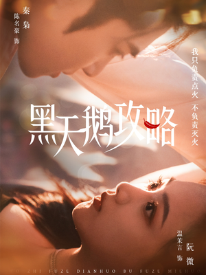 黑天鹅攻略(65集) 黑天鹅攻略(65集)全剧免费观看