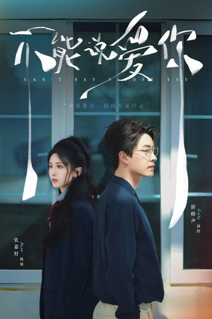 不能说爱你（64集）短剧太上头了