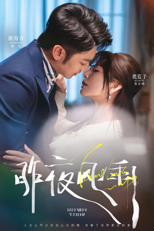 昨夜风雨（63集）网盘在线观看