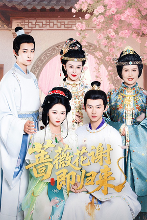 蔷薇花谢即归来（61集）热门短剧来袭