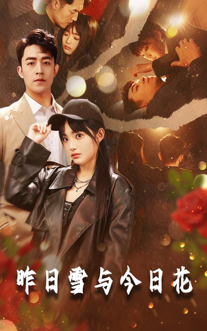 昨日雪与今日花（81集）古装短剧热播