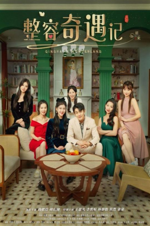 整容奇遇记（80集）短剧完整版免费