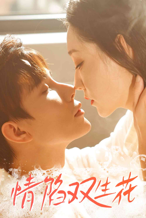 情陷双生花（30集）看精彩短剧