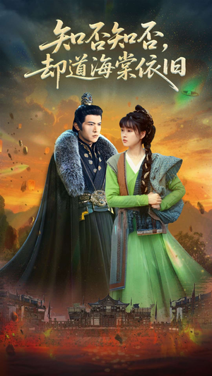 知否知否却道海棠依旧（100集）好看又上头短剧