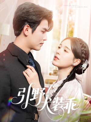 引野犬装乖（61集）大结局完美收官