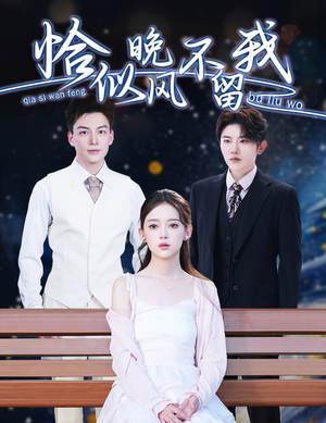 恰似晚风不留我（51集）快来看短剧