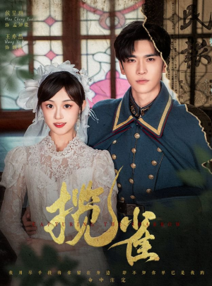 揽雀（61集）免费短剧看不停