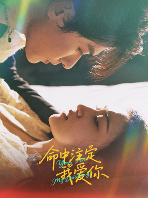 命中注定我爱你（63集）全集免费