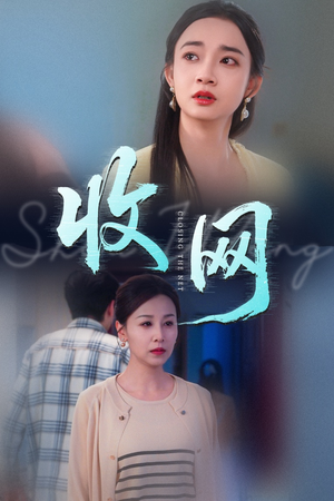 收网（60集）好看的短剧