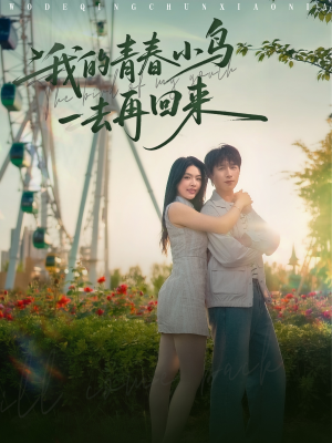 我的青春小鸟一去再回来（95集）百度在线观看