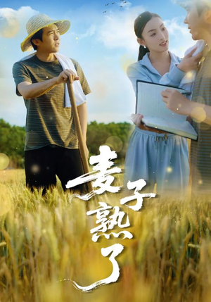 麦子熟了（52集）最火短剧热播中