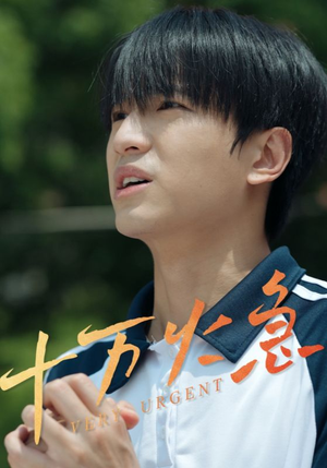 十万火急(30集) 十万火急(30集)推荐你们也去看