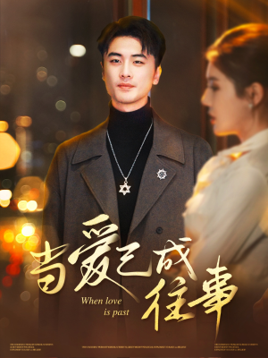 当爱已成往事（30集）经典老剧免费看