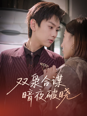双枭合谋暗夜破晓（30集）热播短剧来袭