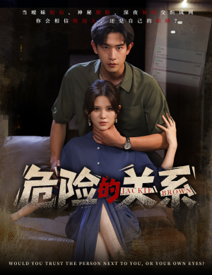 危险的关系（55集）热门短剧在线看