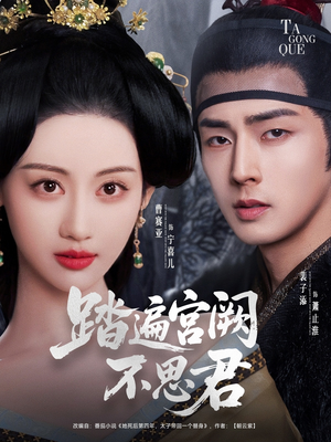 踏遍宫阙不思君（75集）短剧解说全集