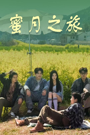 蜜月之旅(35集) 蜜月之旅(35集)最火短剧推荐
