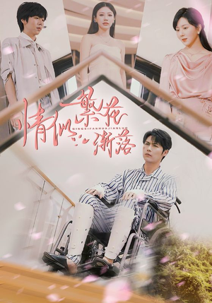 情似繁花渐落（62集）女主谁演的