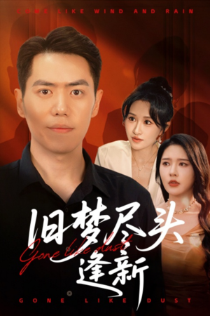 旧梦尽头逢新（46集）短剧有好货推荐