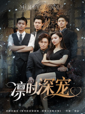 凛时深宠（80集）解说文案