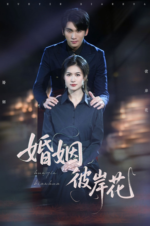 婚姻彼岸花（63集）女频短剧推荐