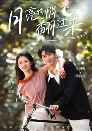 月亮悄悄翻过来（99集）UC网盘在线看