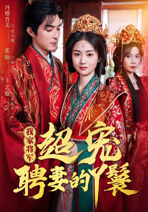 我家将军超宠聘妻的丫鬟（64集）夸克在线观看