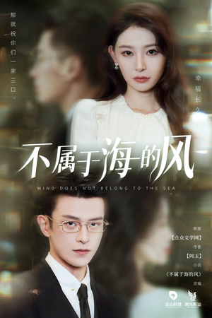 不属于海的风（40集）解说文案