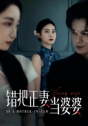 错把正妻当婆婆（46集）免费观看全集