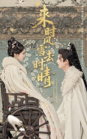 来时风雪去时晴（51集）精彩短剧热播