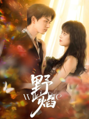 野焰(60集) 野焰(60集)百度网盘在线看