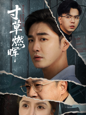 寸草燃晖（70集）精彩不断免费看