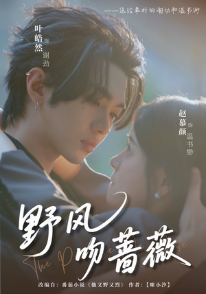 野风吻蔷薇（78集）好看上头短剧