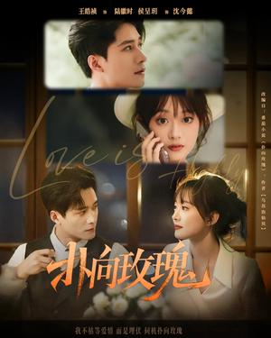 扑向玫瑰(77集) 扑向玫瑰(77集)解说文案