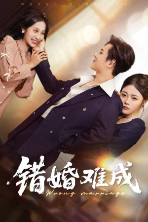 错婚难成（45集）在线看