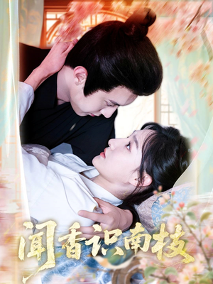 闻香识南枝（60集）热播短剧重燃