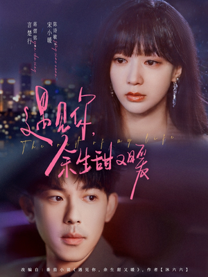 遇见你余生甜又暖（70集）免费看全网短剧