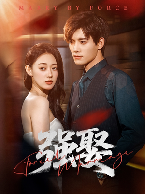 强娶（80集）最新热播短剧