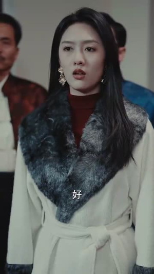 双龙逆战（89集）一口气看完全集