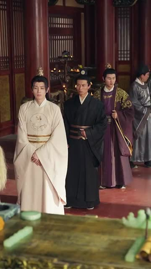 医妃被弃后，我的诊金是江山（80集）火爆短剧热播中