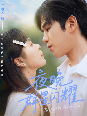 夜晚群星闪耀（70集）哪个网站可以看