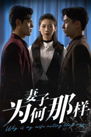 妻子为何那样（60集）短剧前十排行榜